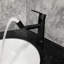 Robinet de salle de bain en acier inoxydable noir mat - Robinet de lavabo à poignée simple avec finition rouille et évier à aération silencieuse