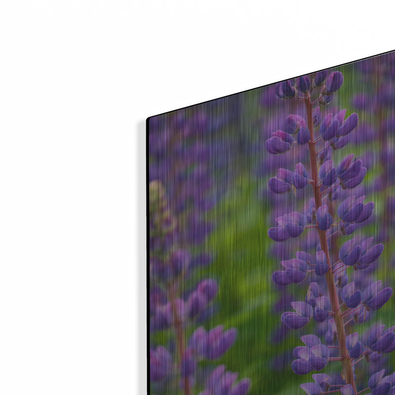 Fleur de lupin bleu violet par Cora Niele, H 16 po x l 12 po