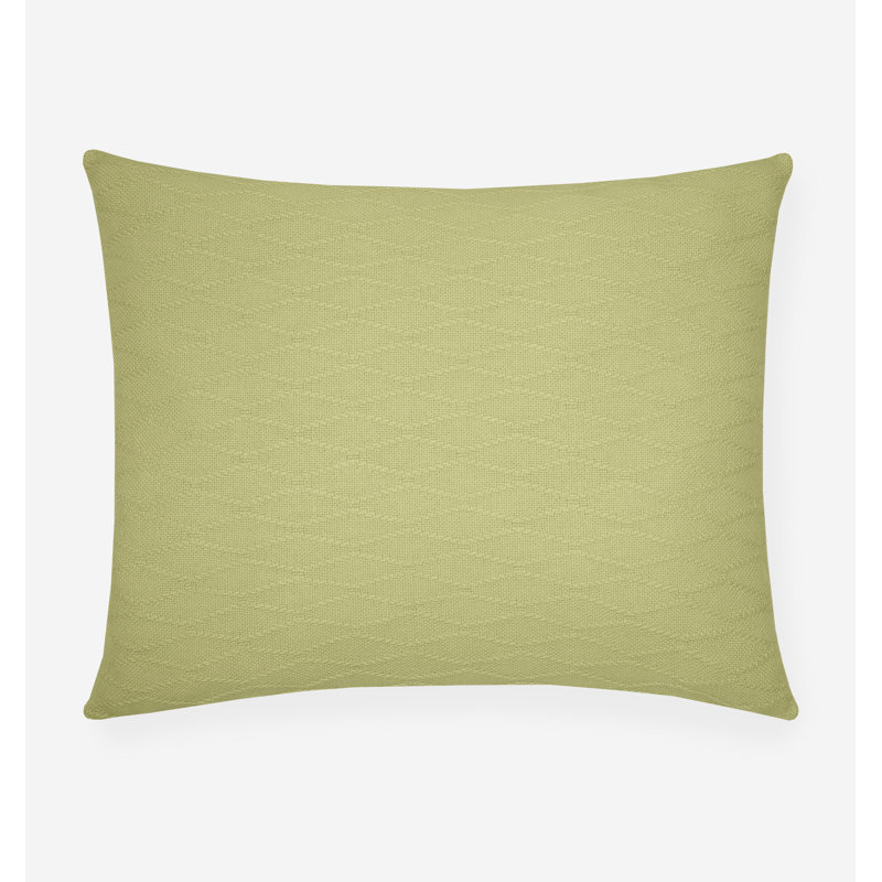 Cetara Sham, Super Euro, Kiwi