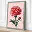 Pink Carnation Botanical - Wrapped Canvas-152179225-152179236