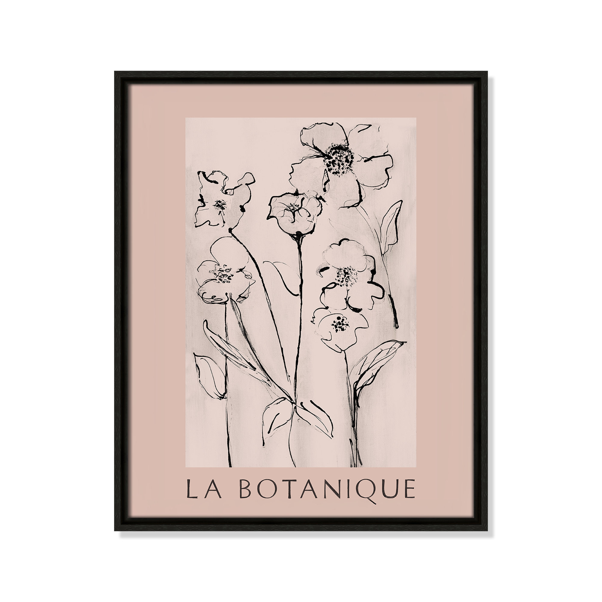 Botanical Poster Collection " La Botanique " by Susan Jill, 21.5" H x 17.5" W x 2" D, No, Espresso Floater Frame