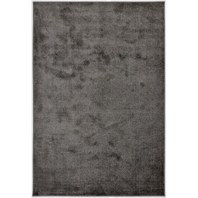 Paola Solid Colour Area Rug