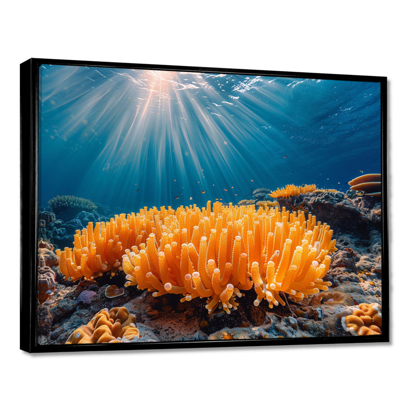 Richerson - impression d'art mural corail sous l'eau, Cadre flottant noir, H 12 po x l 20 po