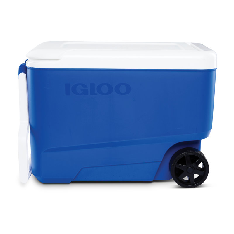 38 QT WHLCL IM BLU 2P