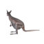 Statue kangaroo australienne outback
