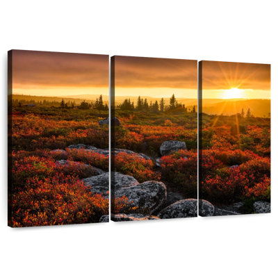 Alvord Dolly Sods Sunset