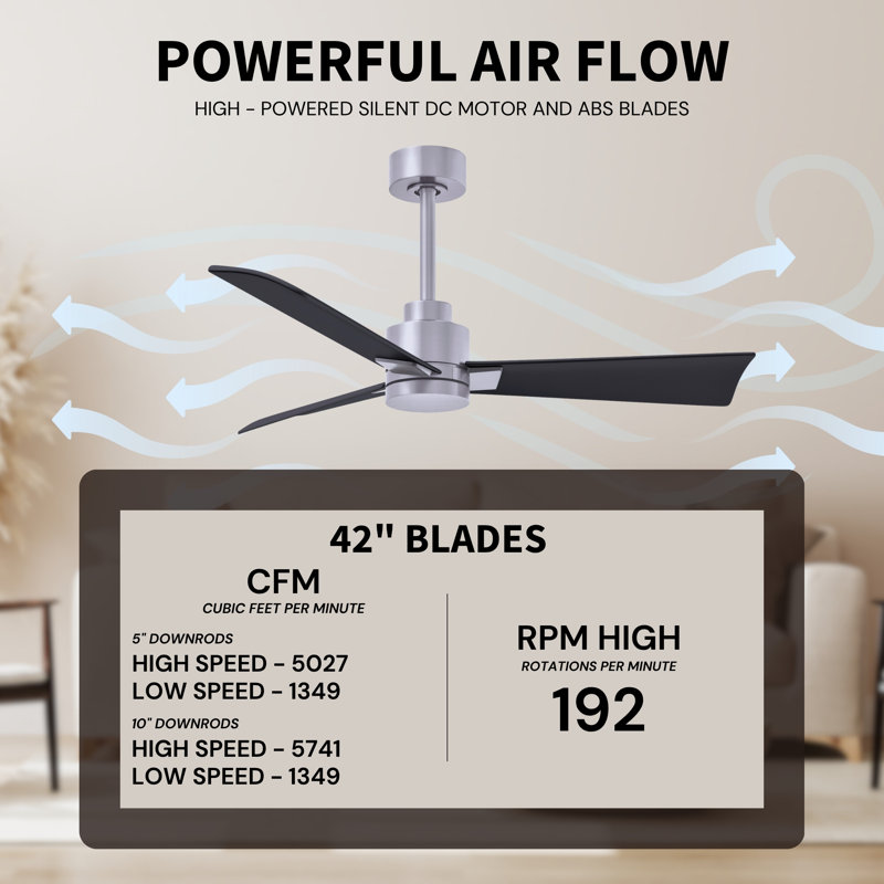 Alessandra Outdoor Downrod Ceiling Fan, Matte Black, Brushed Nickel