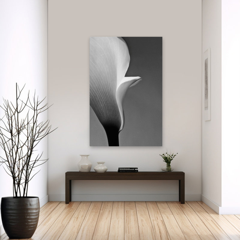 Calla n ° 5 - art floral et nature morte, H 60 po x l 40 po