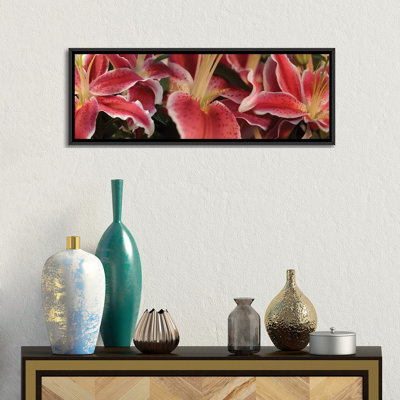" Close-Up Of Stargazer Lily Flowers " by Panoramic Images