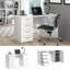Biviana Desk