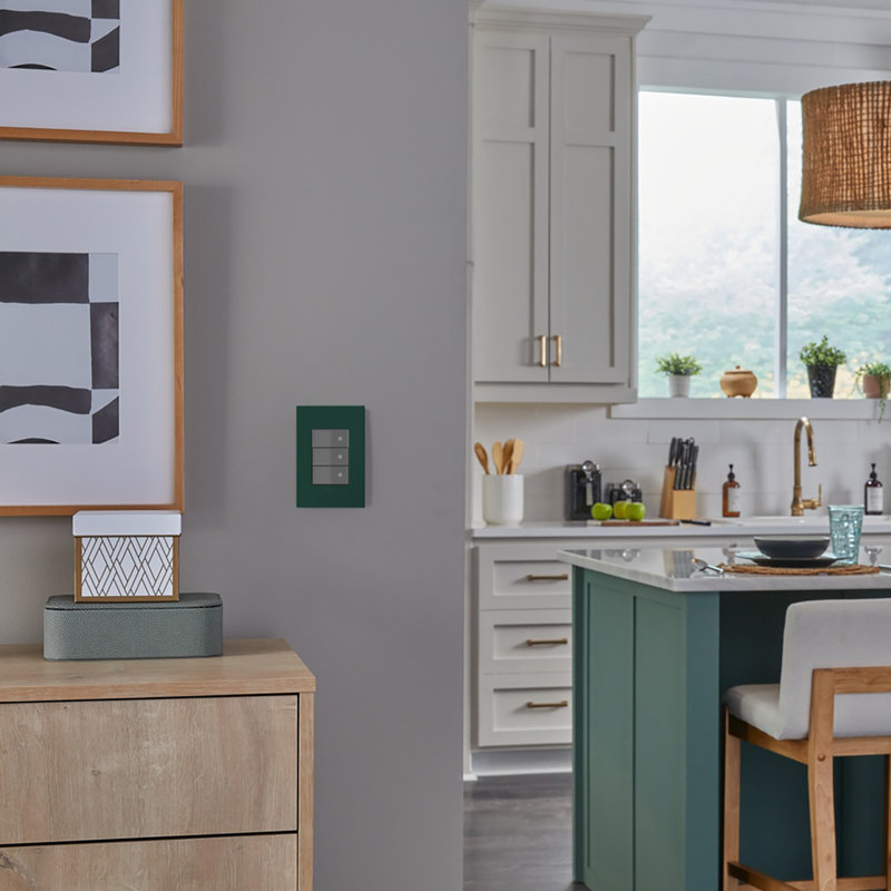 Plaque murale Adorne® 1-Gang + Rocker, Evergreen
