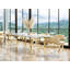 Oval Glass Dining Table