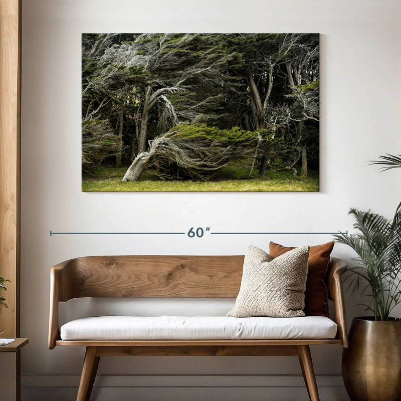 Harnek Windswept Forest Trees