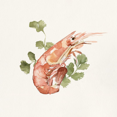 Shrimp For Dinner I by Emma Caroline - Wrapped Canvas Painting