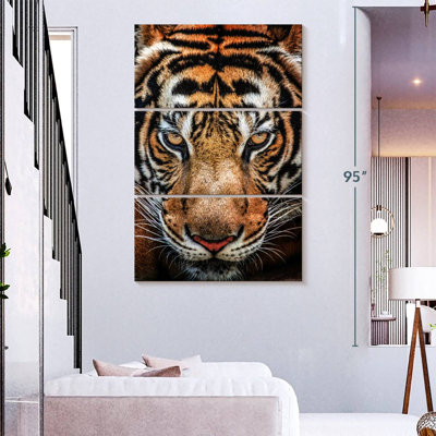 Brampt Siberian Tiger