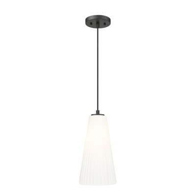Luminaire suspendu moderne 1 lumière Tomy