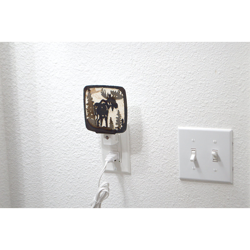 Lumière d'orignal
