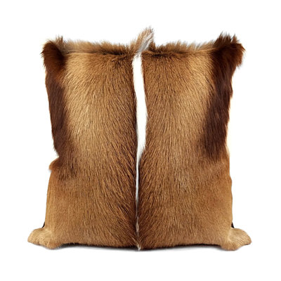 Springbok Square Pillow Cover & Insert