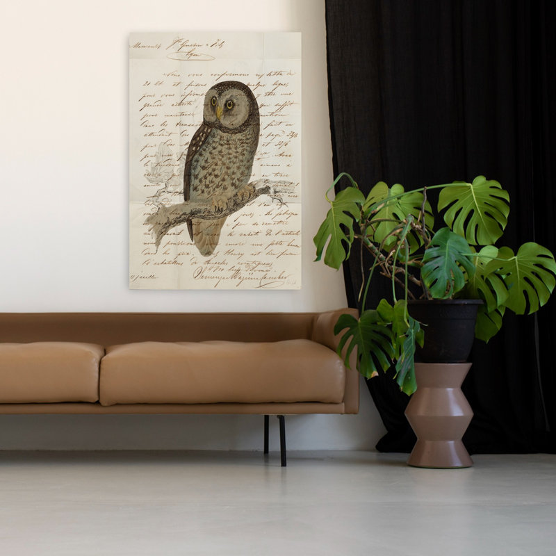 Hibou boréal, H 48 po x l 32 po