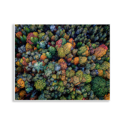 Art mural sur plaque, feuillage automnal par Rick Berk