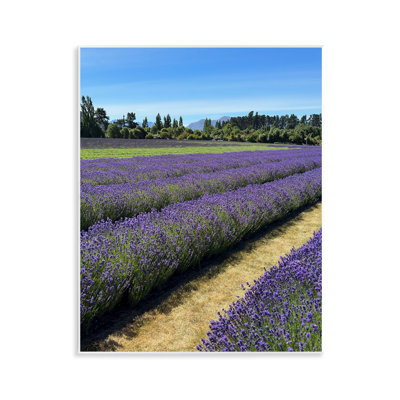 Lavender Path Landscape Wall Plaque Art by Kali Wilson