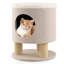 Arbre à chat 18,5 po H Dushon-947790223
