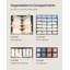 Roshani Organiser Set-1459194032