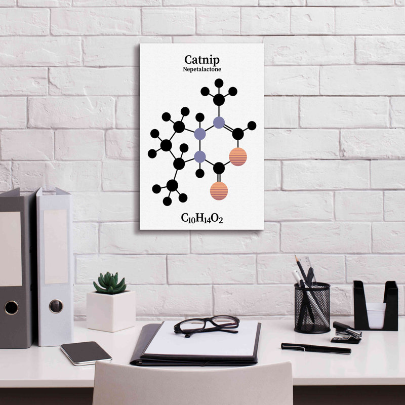 " Catnip Molecule " by Maxim, 18" H x 12" W x 0.75" D