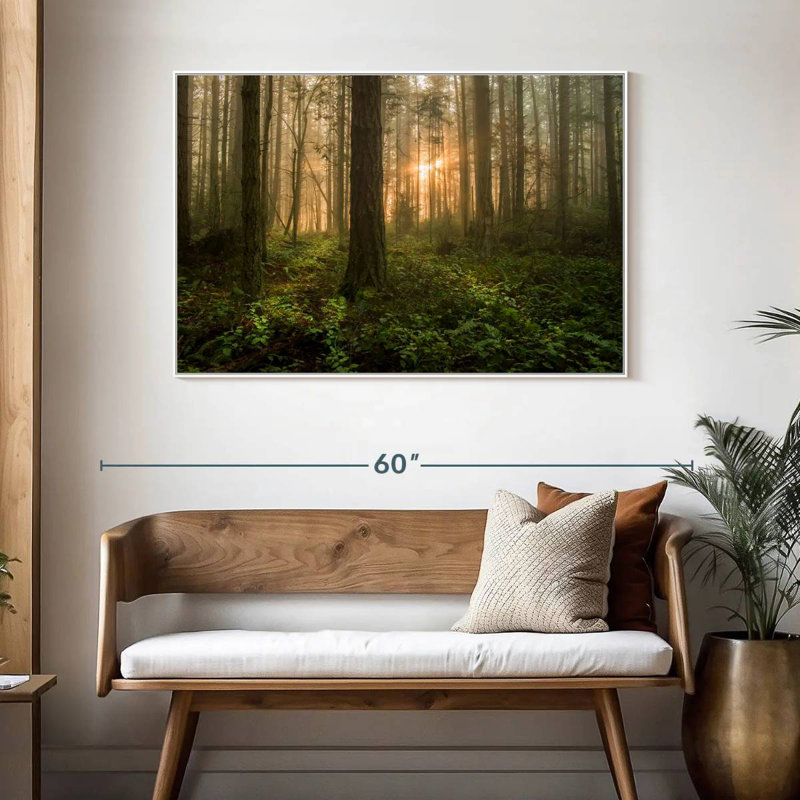 Lever de soleil sur la forêt de l'île Lummi, Cadre flottant blanc, 46 po x 31 po