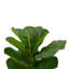 Figuier artificiel 21,7 po en pot