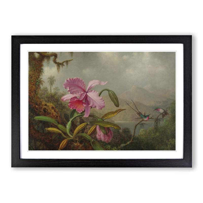 Pink Flower by Martin Johnson Heade - Framed Print, Black
