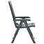 Carousel Garden Reclining Chairs Plastic-322097793