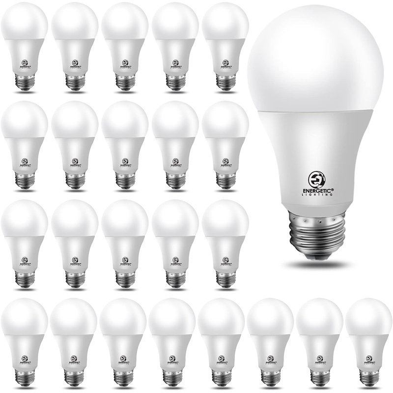24-Pack White Daylight LED Screw-in Globe Bulbs