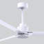 Alessandra Outdoor Downrod Ceiling Fan-631821216-653540884