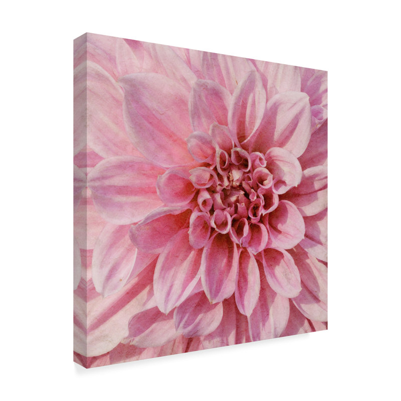 « wall fleur vii », photographie sur toile tendue, H 14 po x l 14 po x P 2 po