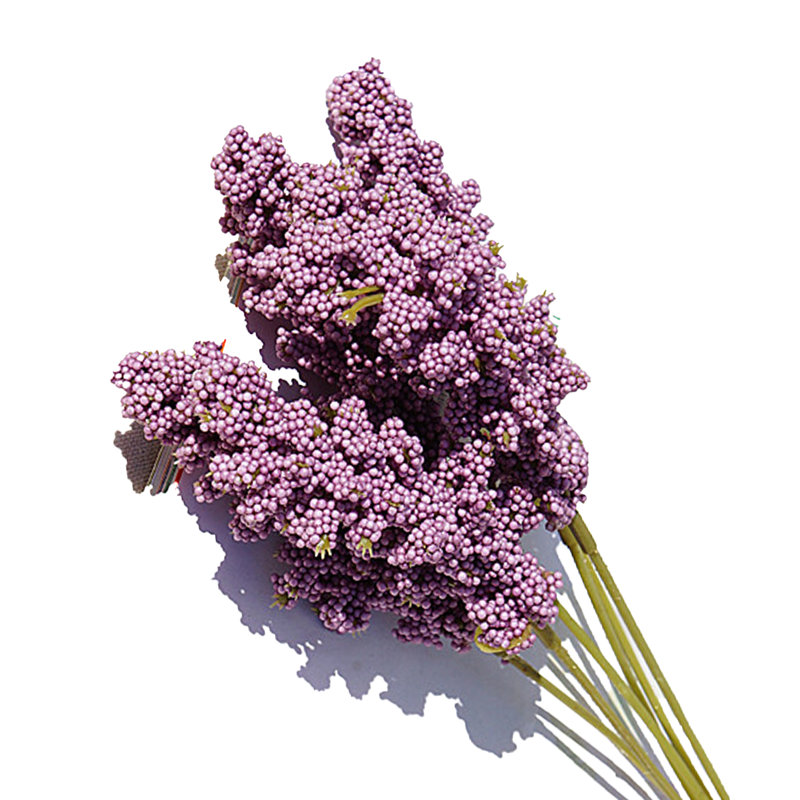 Foam Vanilla Arrangement, Deep Purple