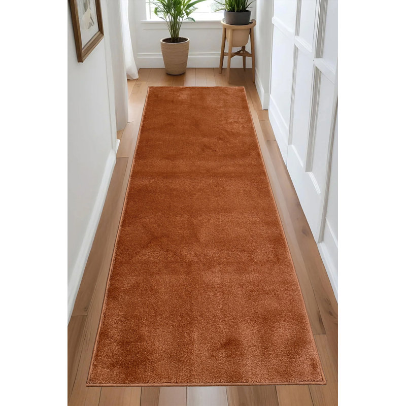 Tapis de couloir antidérapant à poils doux et lavable à la machine, Tapis de couloir 2 pi 2 po x 8 pi