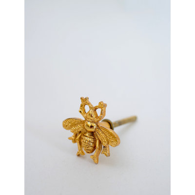 Ovalle 4mm Length Novelty Knob