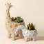 Ensemble de pots à fleurs 2 pièces Rolen Giraffe