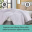 Sealy Anti-Allergy 10.5 Tog Duvet-65307478