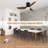 Ceiling Fan with LED Lights