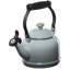 Demi 1.25 Qt. Enamel on Steel Tea Kettle-247894020