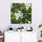 Harnek Jasmine Vines And Flowers-109110992