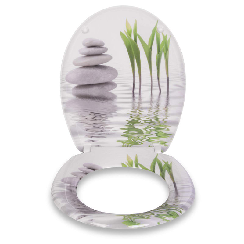 Dejanna Soft Close Elongated Standard Toilet Seat