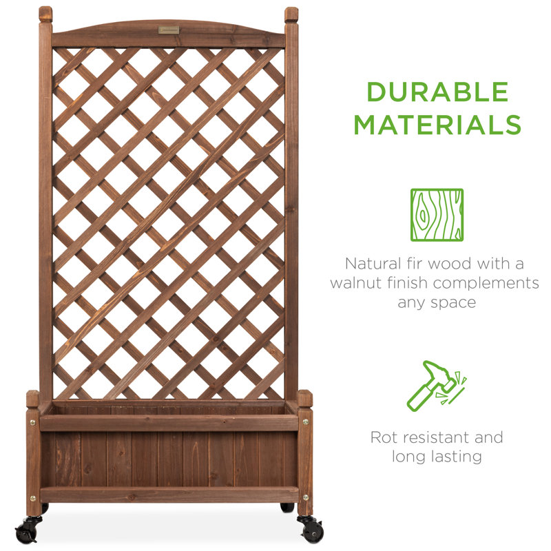 Set of 2 Walnut Fir Wood Planter Box with Trellis