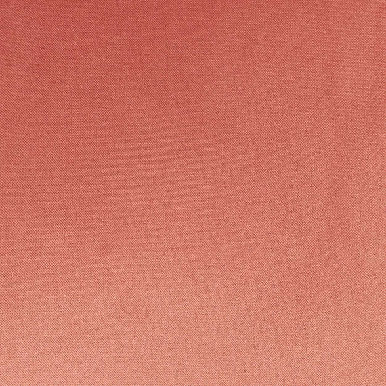 Belvedere Throw Pillow, Blush, Rectangle 14"H x 24"W