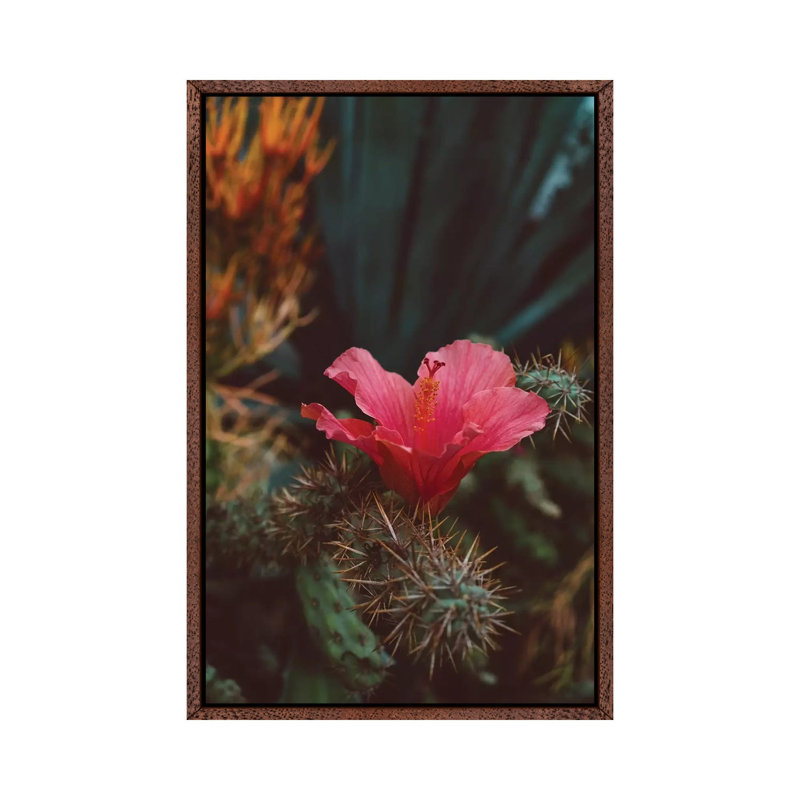 California Bloom II by Bethany Young - Print on Canvas, 101.6cm H x 66.04cm W x 3.81cm D, Classic Brown Wood Framed