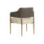 Upholstered Arm Chair-1915801783