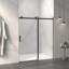 Porte de douche sans cadre-125252051