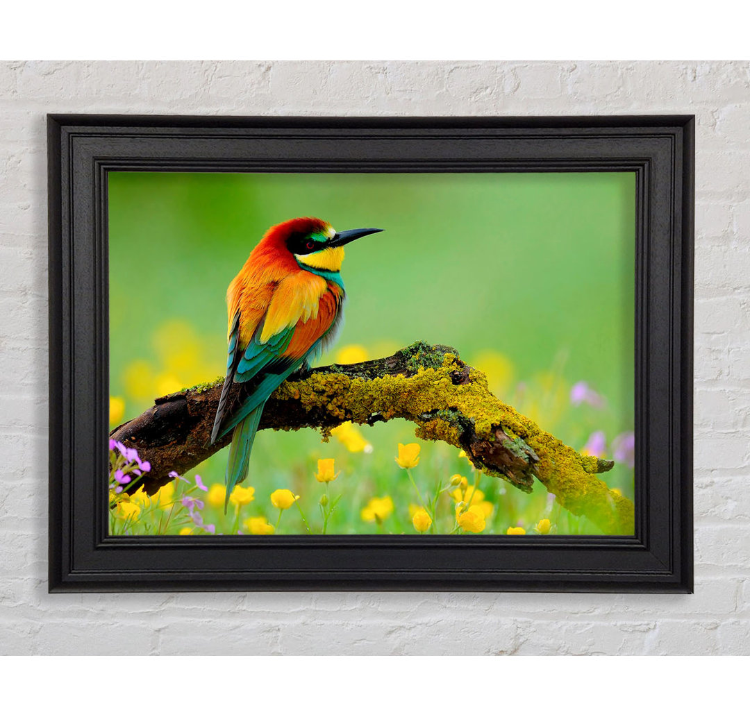 Novara Kingfisher Wild Flowers Gerahmter Druck Wandkunst